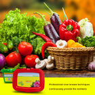2-5mm Granular NPK 17 17 17 Potassium Sulfate Granular Fruit And Vegetable Fertilizer 14567-64-7
