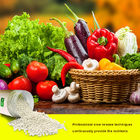 Potassium Sulfate Granular Npk Fertilizer 15 15 15 For Vegetable Fruit Garden Plant Fertilizer